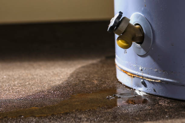 Best Residential water damage restoration  in Linton Hall, VA