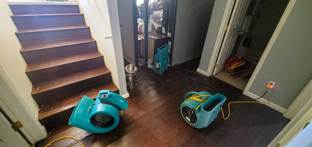 Best Professional water damage repair  in Linton Hall, VA