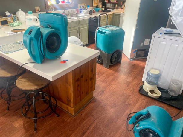 Trusted Linton Hall, VA Water damage restoration Experts
