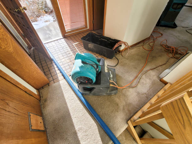 Water damage restoration experts in Linton Hall, VA