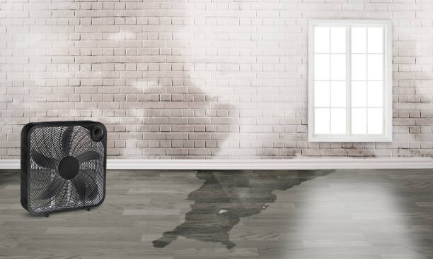 Reliable Linton Hall, VA Water damage restoration Solutions